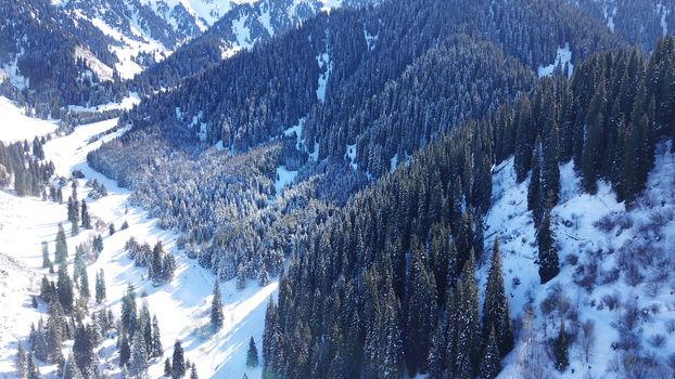 Active recreation of people in the mountains. Top view from the throne. A group of people walking along a trail in a snowy forest in the mountains. The trees cast shadows on the snow. Sunny day.