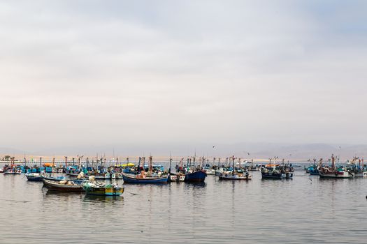 Paracas, Peru - September 12, 2015: Pelicans sitting on a fishing boat anchored in the bay