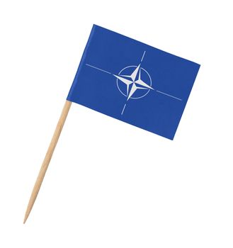 Small paper flag of NATO on wooden stick, isolated on white