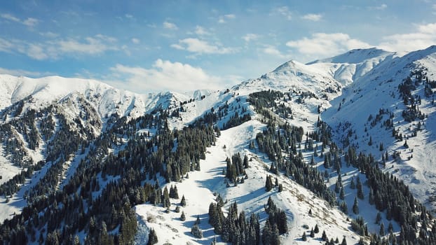 Snow forest in the mountains, above the clouds. View from above, from the drone. Coniferous trees are covered with snow. Clouds float along the gorge. Snowy hills and Sunny day. Tourists in mountains