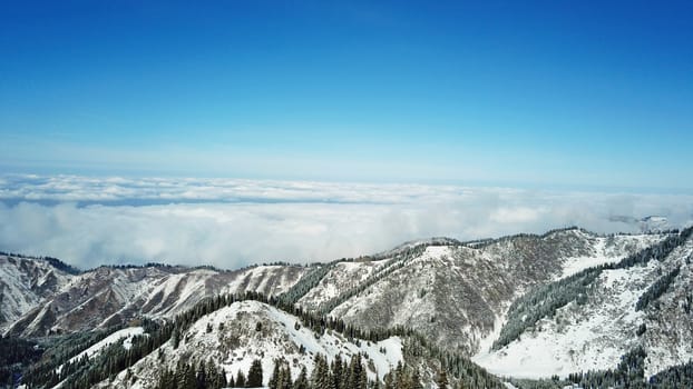 Snow forest in the mountains, above the clouds. View from above, from the drone. Coniferous trees are covered with snow. Clouds float along the gorge. Snowy hills and Sunny day. Tourists in mountains