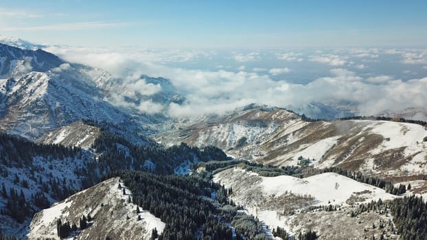 Snow forest in the mountains, above the clouds. View from above, from the drone. Coniferous trees are covered with snow. Clouds float along the gorge. Snowy hills and Sunny day. Tourists in mountains