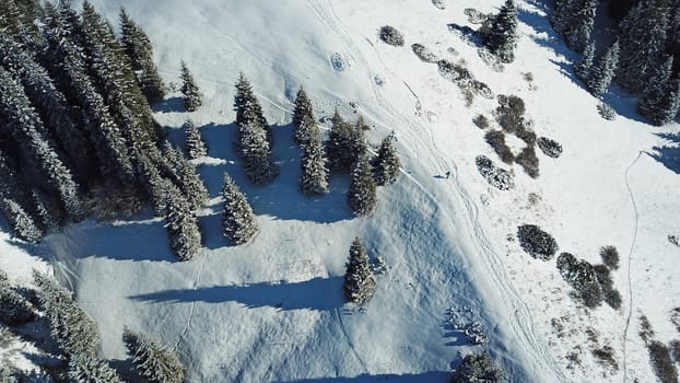 A man is walking on a snowy slope. Snow forest in the mountains. Coniferous trees are covered with snow. Clouds float along the gorge. Snowy hills and Sunny day. Tourists in the mountains. Kazakhstan.