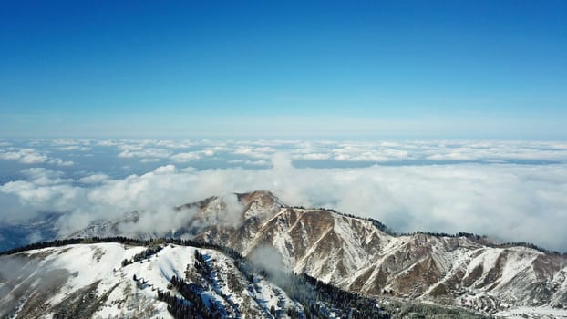Snow forest in the mountains, above the clouds. View from above, from the drone. Coniferous trees are covered with snow. Clouds float along the gorge. Snowy hills and Sunny day. Tourists in mountains