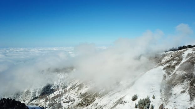 Snow forest in the mountains, above the clouds. View from above, from the drone. Coniferous trees are covered with snow. Clouds float along the gorge. Snowy hills and Sunny day. Tourists in mountains