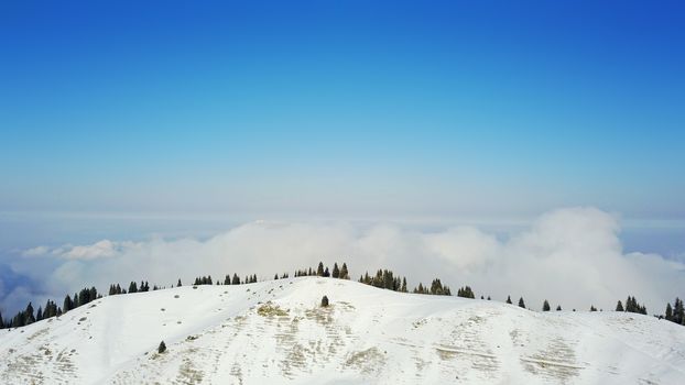 View from the height of the snowy mountains and forest. Huge clouds cover the hill in the distance. People are visible in places. Someone is running, resting, having a picnic or climbing to the top.