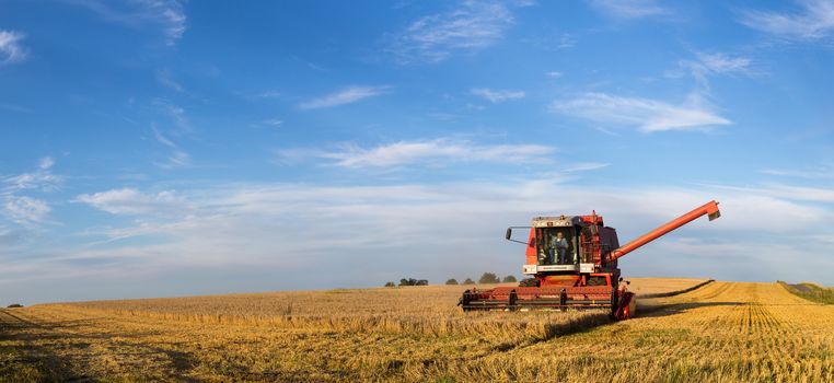 Ramlose, Denmark - August 24, 2016: Panoramic view of a combine harvester at work