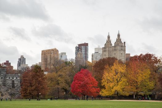 New York, United States of America - November 20, 2016: Colorful trees in Central Park on an autumn day.