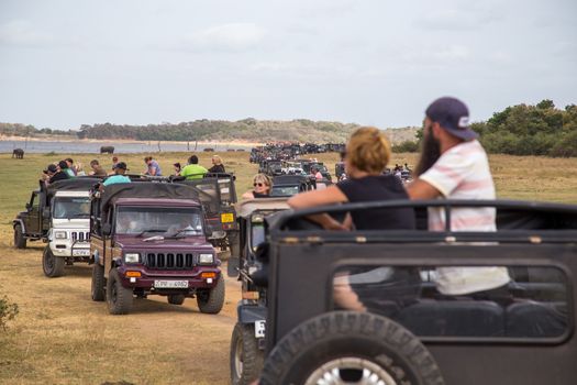 Kaudulla National Park, Sri Lanka - August 16, 2018: Big row of jeeps with tourists inside Kaudulla National Park