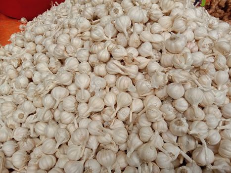 healthy and spicy garlic stock on shop