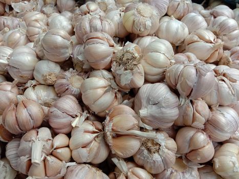 healthy and spicy garlic stock on shop