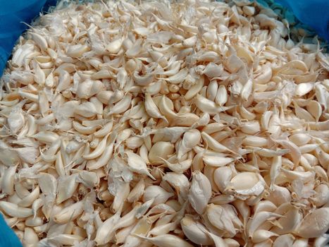 healthy and spicy garlic stock on shop