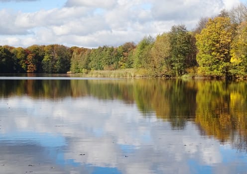 river landscape with forest and blue cloudy sky on sunny summer day