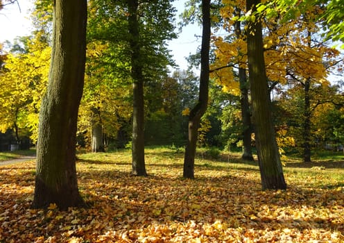 city park at sunset on sunny autumn day