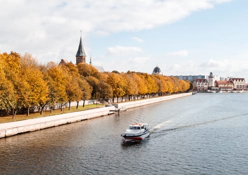 cityscape with river and cathedral and synagogue on sunny aumn day