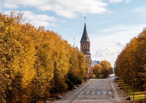 view of the cathedral in kaliningrad russia on an sunny autumn day