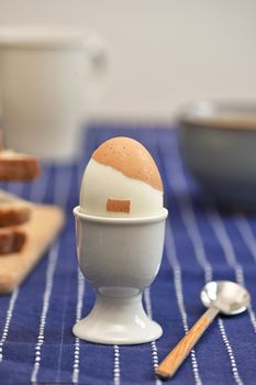 Conceptual Boiled egg lookalike Hitler hair and moustache