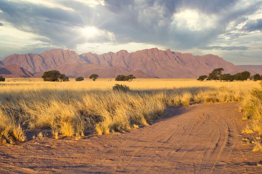 Off-road 4x4 jeep dirt track in Sossusvlei Namibian desert landscape. Travel and tourism.