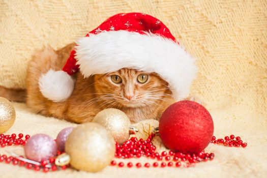 funny fat ginger cat in Santa Claus Christmas hat lies on a yellow blanket surrounded by New Year's toys. Winter holiday