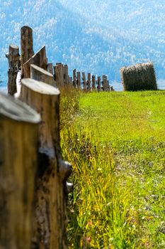 A wooden fence on the ranch. A wooden fence for cattle.