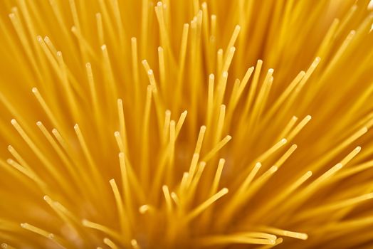 A macro photograph of several unboiled spaghetti