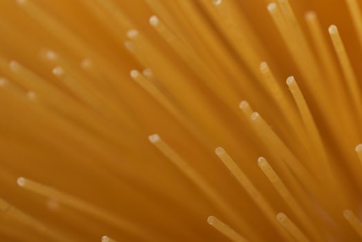 A macro photograph of several unboiled spaghetti