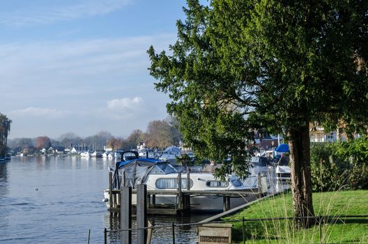 Boats moored along the banks of the River Thames on a sunny autumn day in Bourne End, Buckinghamshire.