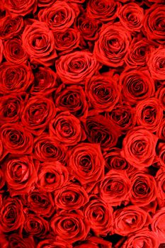 A lot of red roses background, Valentines day gift concept