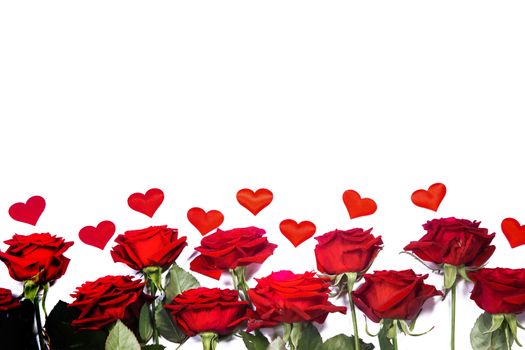 Red roses and hearts border frame isolated on white background, Valentine's Day