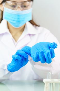 Close up Scientist hands putting in nitrile blue latex gloves in labcoat wearing nitrile gloves, doing experiments in lab