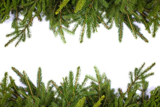 Natural fir Christmas tree border frame isolated on white , copy space for text