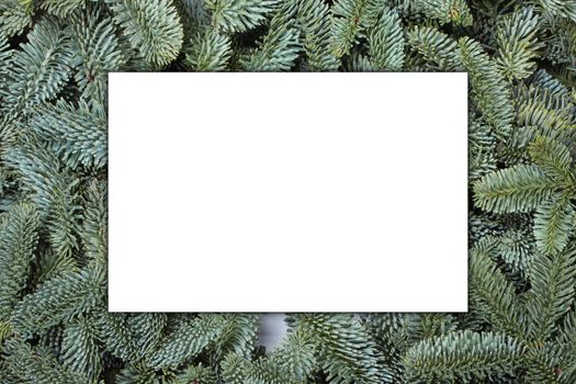 Blank greeting card over Natural noble fir Christmas tree background , copy space for text