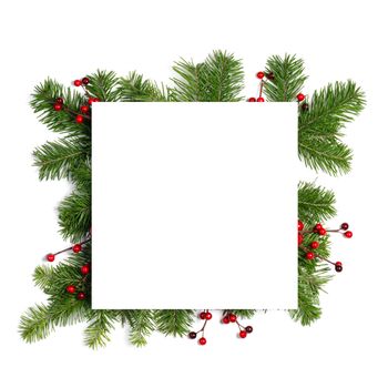 Christmas white blank card with copy space and decor of fir tree branch red holly berry isolated on white background