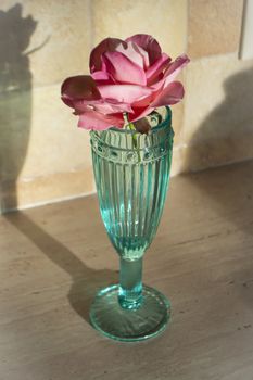 Closeup of edible flower of rose on top. pink fondant flower