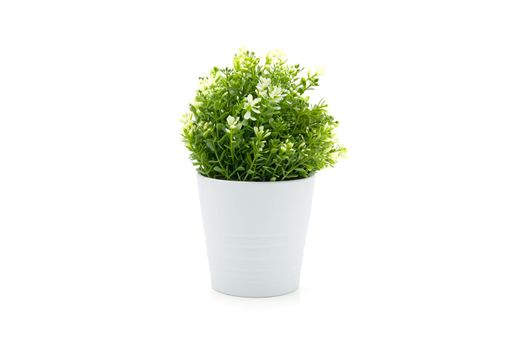 Beautiful artificial lush tree in pots ceramic isolated on white background, plastic tree and foliage, leaf fake with imitation for decorate home, closeup object.