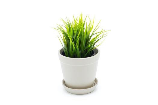 Beautiful artificial green grass in pots ceramic isolated on white background, plastic tree and foliage, plant mini tree, leaf fake with imitation for decorate home, closeup object.