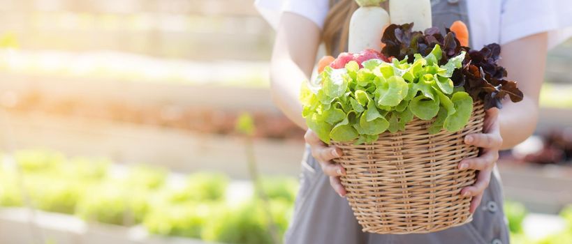 Beautiful portrait young asian woman smile harvest and picking up fresh organic vegetable garden in basket in the hydroponic farm, agriculture for healthy food and business concept, banner website.