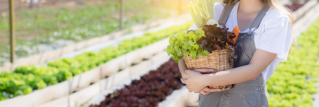 Beautiful portrait young asian woman harvest and picking up fresh organic vegetable garden in basket in the hydroponic farm, agriculture for healthy food and business concept, banner website.