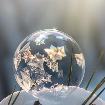 Frozen soap bubble in the snow close-up