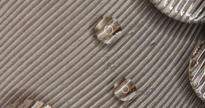 under the magnifying glass you can see the enlarged feather of a singing bird with water drops