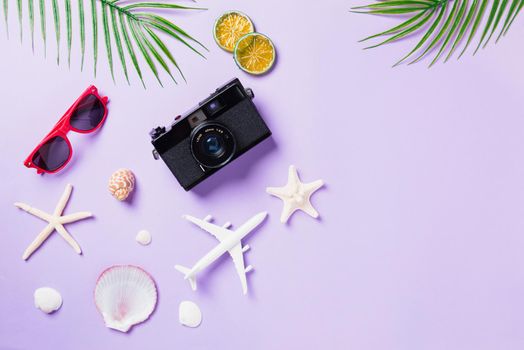 camera films, airplane, sunglasses, leaves, starfish beach traveler accessories