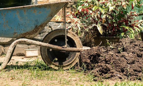 Wheelbarrow in the garden, in the middle of the renovation process.