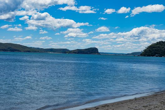 The palm beach of Sydney Australia with beautiful clear sky.