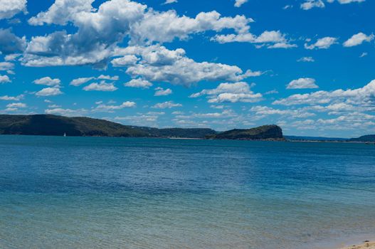 The palm beach of Sydney Australia with beautiful clear sky.