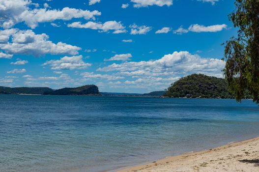 The palm beach of Sydney Australia with beautiful clear sky.