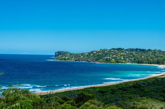 The palm beach of Sydney Australia with beautiful clear sky.