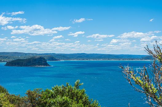 The palm beach of Sydney Australia with beautiful clear sky.