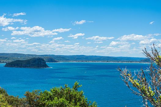 The palm beach of Sydney Australia with beautiful clear sky.