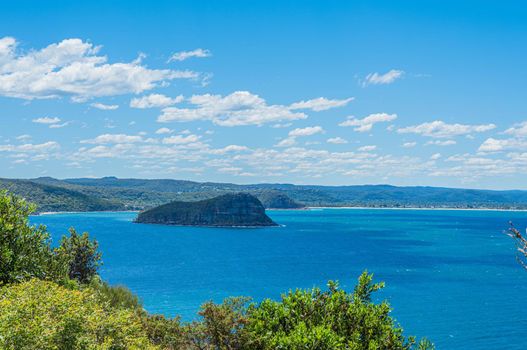 The palm beach of Sydney Australia with beautiful clear sky.