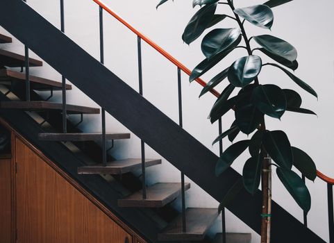 wooden stairs and decorated green leaves tree
